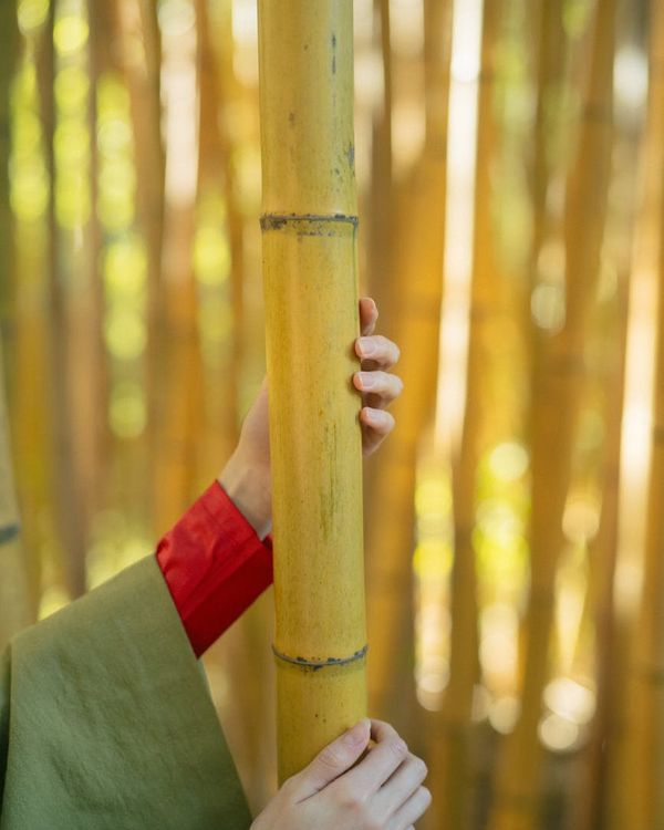 Person finding balance and focus in a calm, minimalist environment.